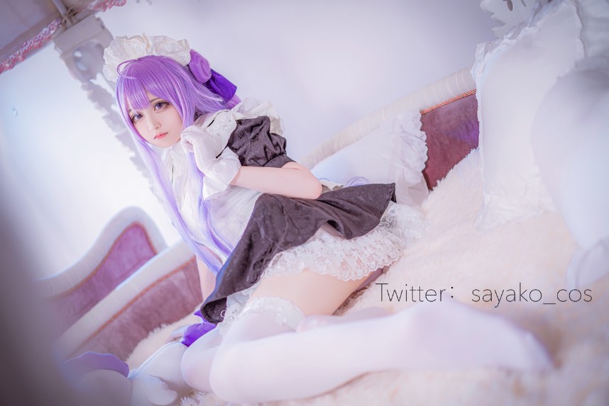 Sayako(さやこ) – ユニコーンメイド [100P-307MB]