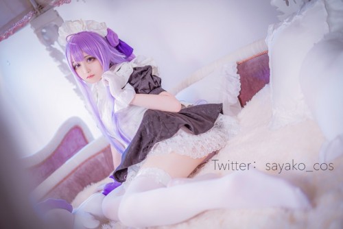 Sayako(さやこ) – ユニコーンメイド [100P-307MB]