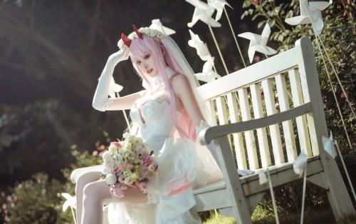 沧霁桔梗 - Darlinginthefranxx 预览展示图 1