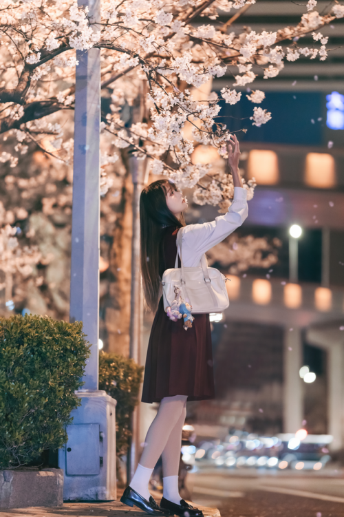 兔子Zzz不吃胡萝卜 – 居家少女&邂逅樱花雨 2 套 预览展示图 1