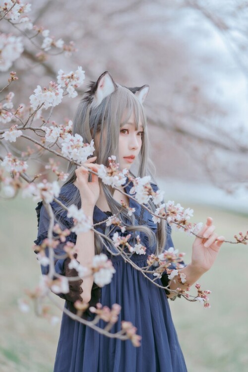 ElyEE子 - Sakura 预览展示图 3