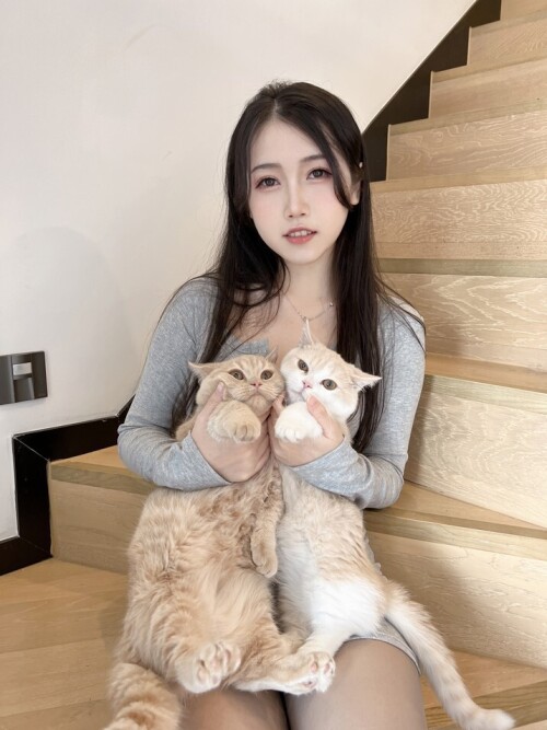 不呆猫 - 居家猫猫女友 预览展示图 1