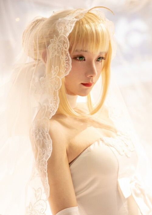 AC爱丽丝Hao姬 - saber花嫁电子版 预览展示图 1