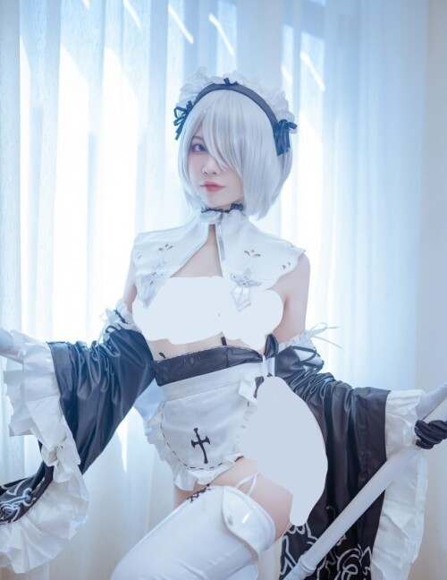 二佐Nisa - 2B女仆 预览展示图 1