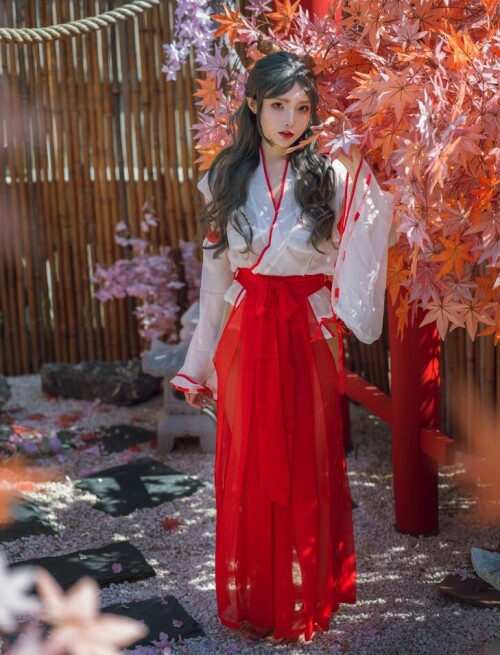 秋和柯基 - 汤池巫女 预览展示图 3