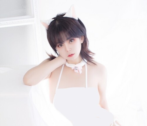 笨蛋学姐 - 白猫女 预览展示图 1