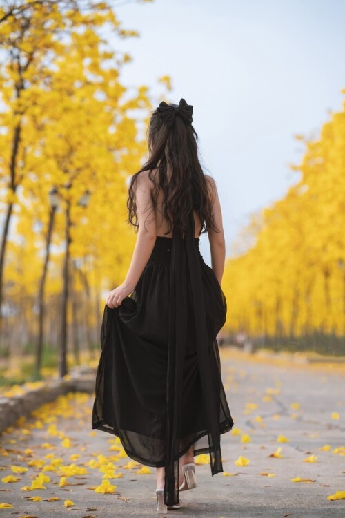 萌芽儿 - 秋有银杏 春有黄风铃 预览展示图 3