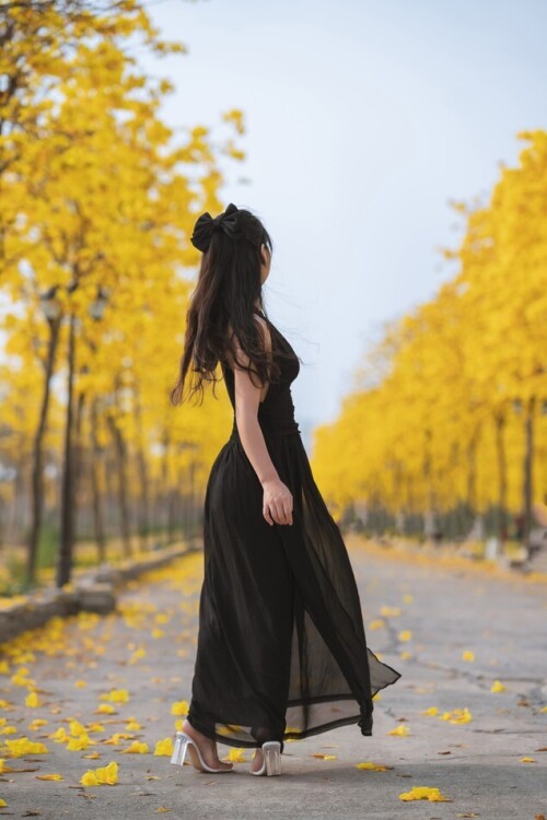 萌芽儿 - 秋有银杏 春有黄风铃 预览展示图 4