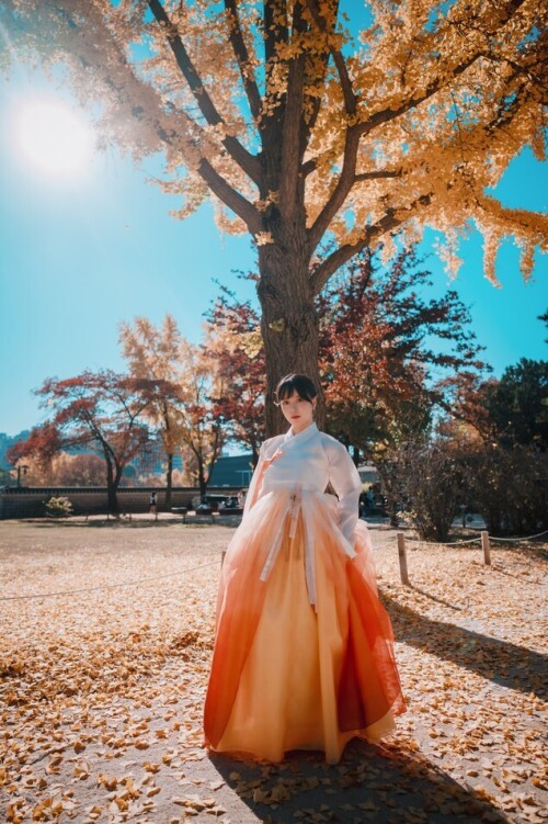 ZziZzi - [DJAWA] Chuseok 预览展示图 1
