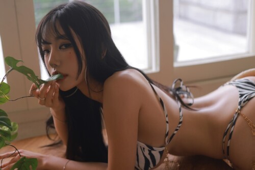 Dongeuran (동그란) - ZEBRA 预览展示图 1