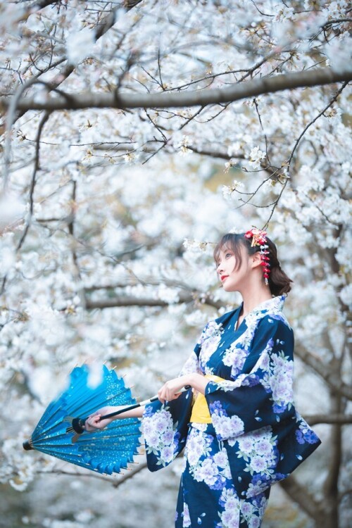 冬马路纱 (Luisa_零纱) - 樱园浴衣 预览展示图 1