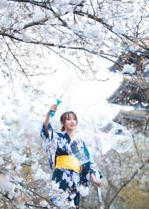 冬马路纱 (Luisa_零纱) - 樱园浴衣 预览展示图 2