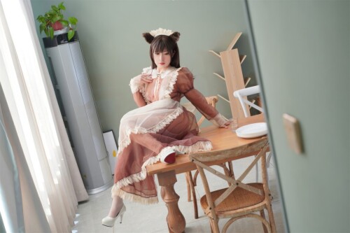 虎森森 - 棕色透明女仆 预览展示图 3