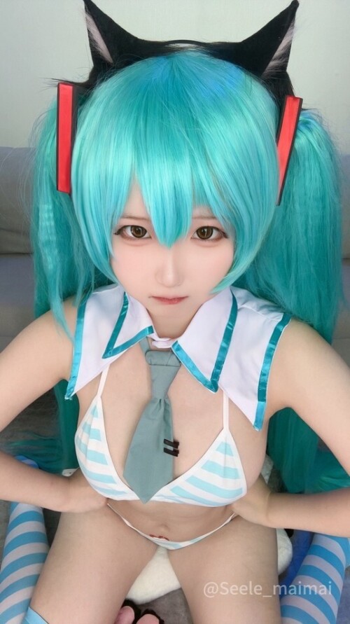Seele麦麦 – 2024-07月 初音 [80P-273MB]
