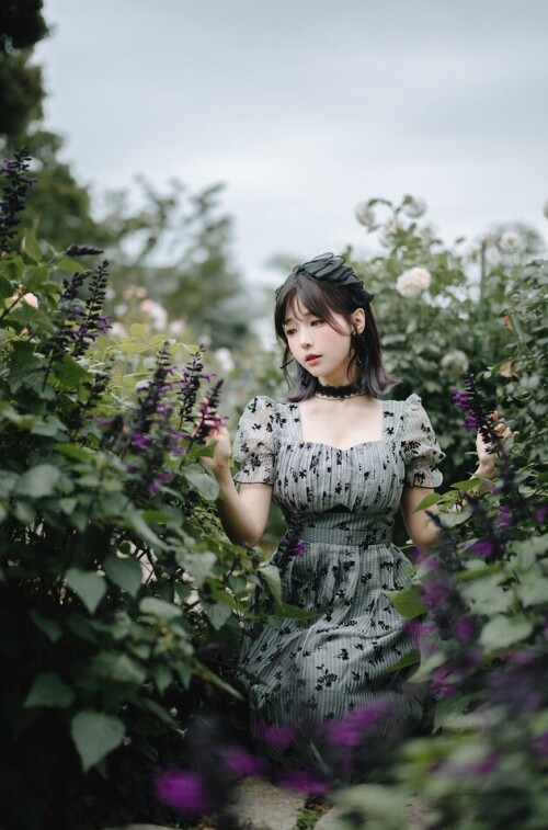 ElyEE子 - 2024 Aug-Tier 3 预览展示图 3