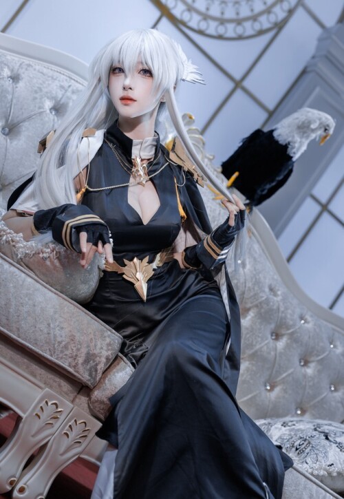 阿昭Akira - 企业换装 英雄的礼服 预览展示图 1
