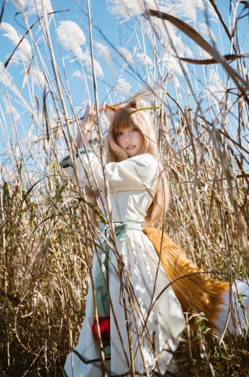 ElyEE子 - 2024 Dec Tier 3 预览展示图 6