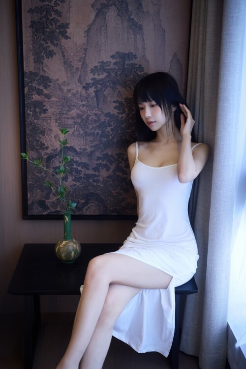 Shika小鹿鹿 - 新中式 预览展示图 2