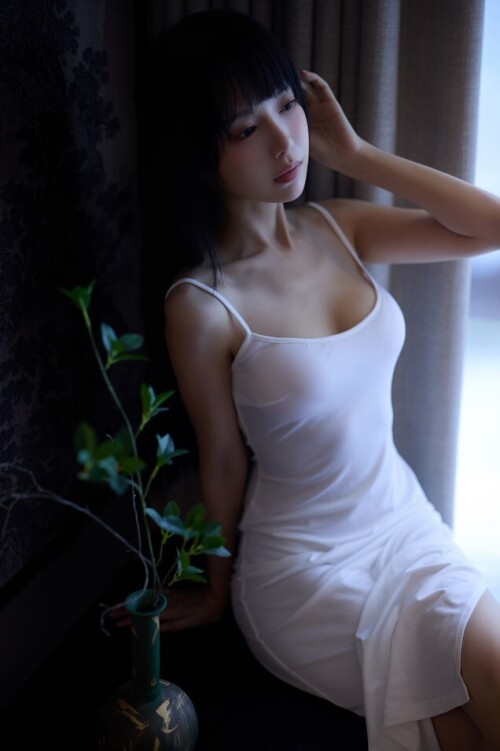 Shika小鹿鹿 - 新中式 预览展示图 4