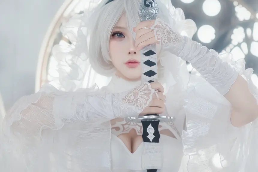 CatDemon喵崽 - 尼尔·机械纪元 2B 狂野新娘 预览展示图 1