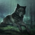 SyyShern